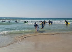 פעילות של הגל שלי