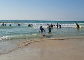 פעילות-של-הגל-שלי